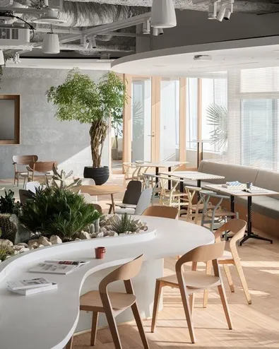 Espacio de trabajo con luz natural y plantas
