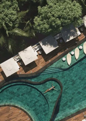 Piscina vista desde arriba entre jardines