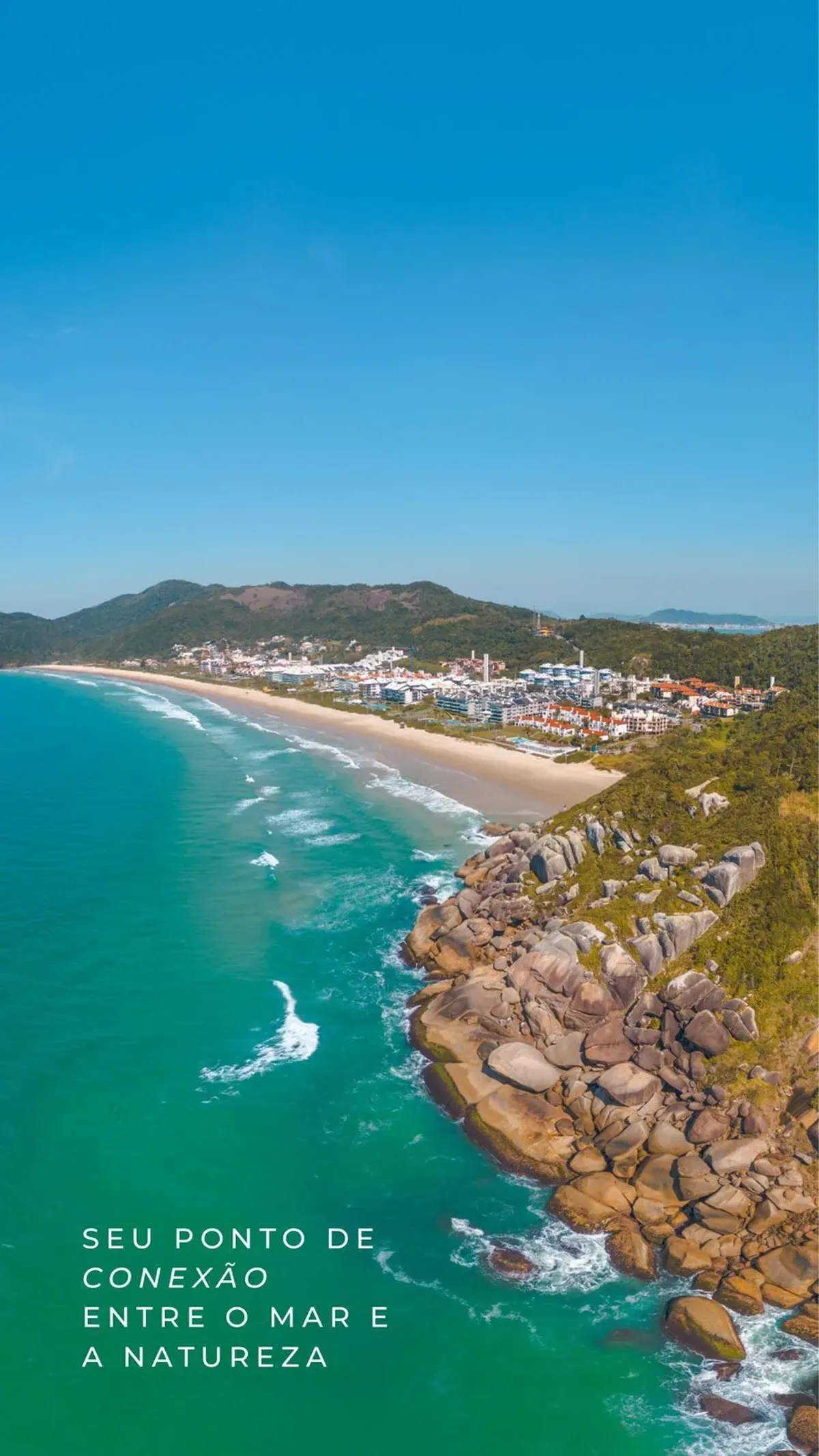 Aerial view of Praia Brava — preserved nature and sea